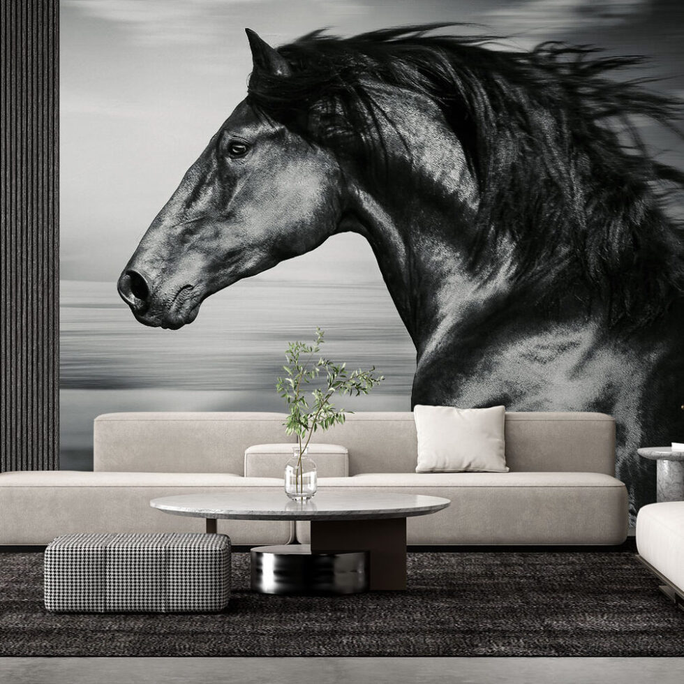 Animaux, chevaux, murale, noir et blanc, étalon, noir, mustang, noir, papier peint, autocollant