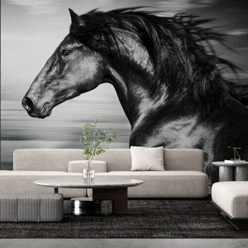 Animals, horses, mural, black and white, stallion, black, mustang, black, wallpaper, peel and stick