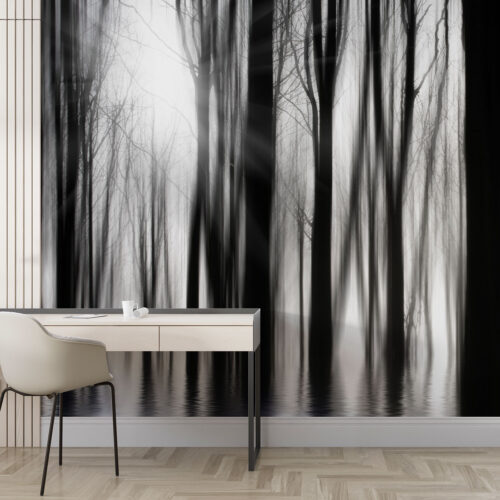 Wallpaper: Inspiration – Nature Forest 017