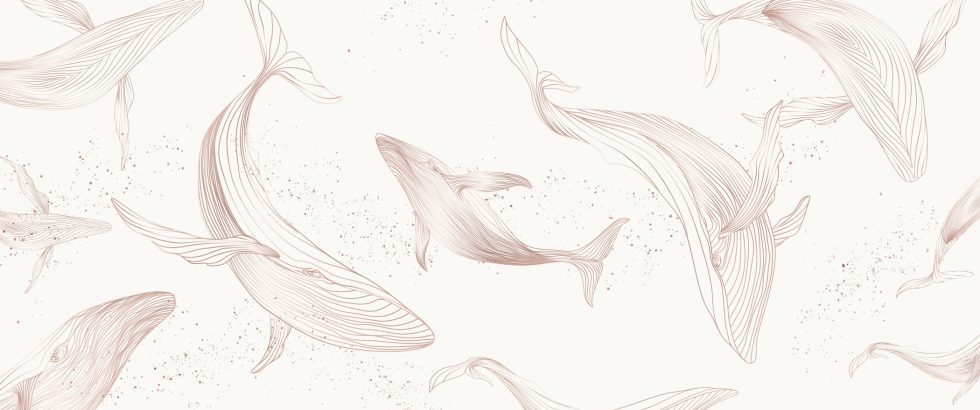 Whale Ballet - Image 2