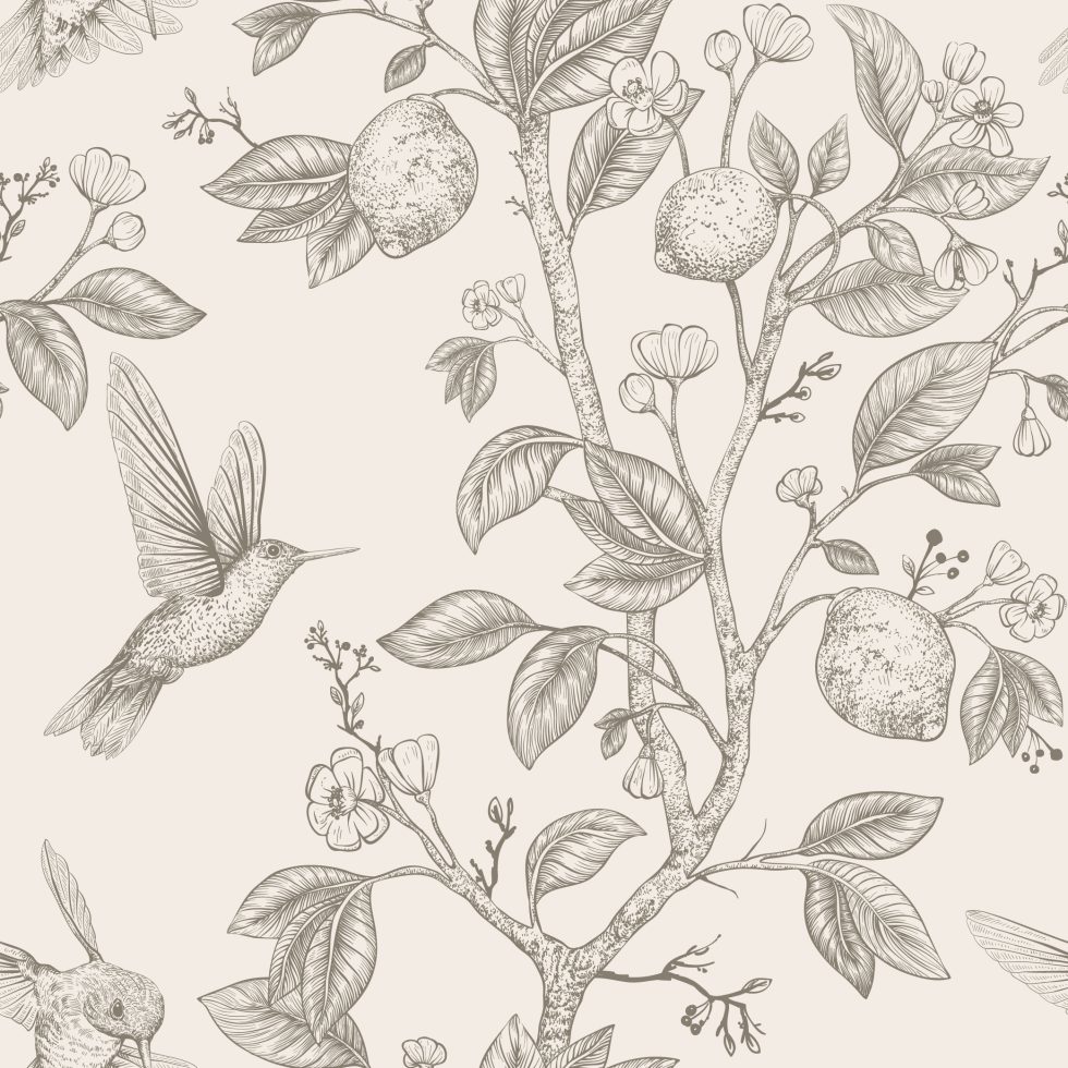 Colibri antique – Image 2