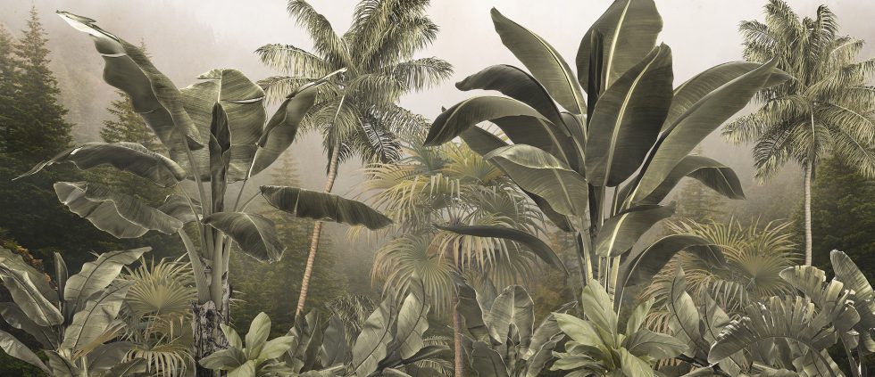 Tropical Stopover - Image 2